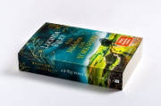 Buchcover und Innenansicht für das Buch: The Hidden Girl