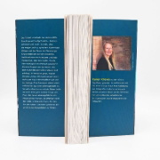 Buchcover und Innenansicht für das Buch: Die Brandung - Nebelschwester