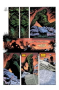 Buchcover und Innenansicht für das Buch: The Saga of the Swamp Thing #35-#38; Swamp Thing #39-#50