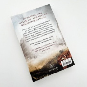 Buchcover und Innenansicht für das Buch: Vergessene Seelen