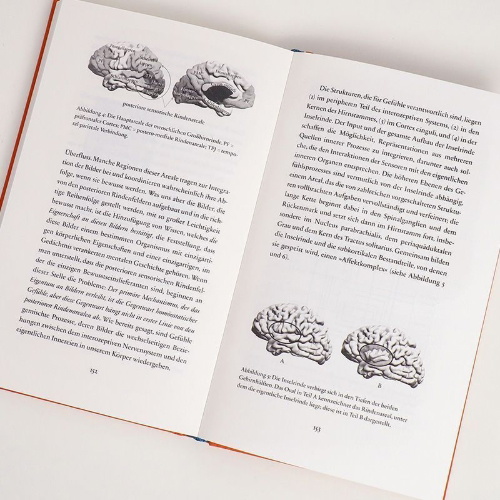 Buchcover und Innenansicht für das Buch: Feeling and Knowing