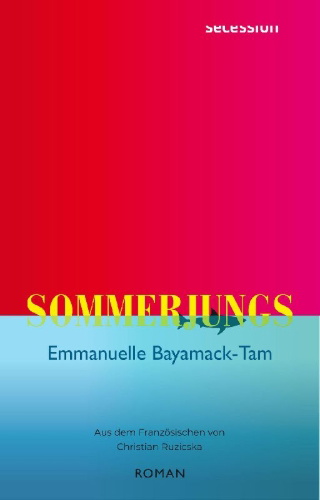 Buchcover und Innenansicht für das Buch: Les Garçons de l'été