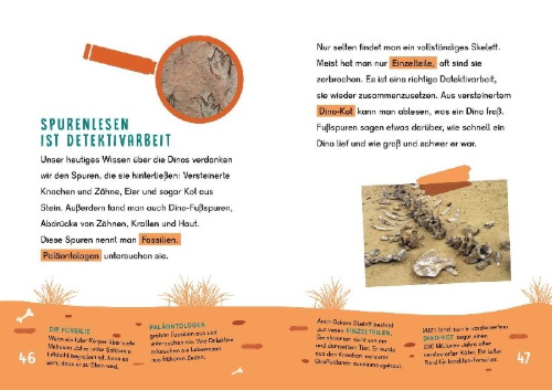 Buchcover und Innenansicht für das Buch: Dein Lesestart - Dinosaurier