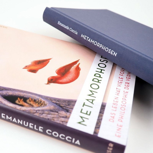 Buchcover und Innenansicht für das Buch: Métamorphoses