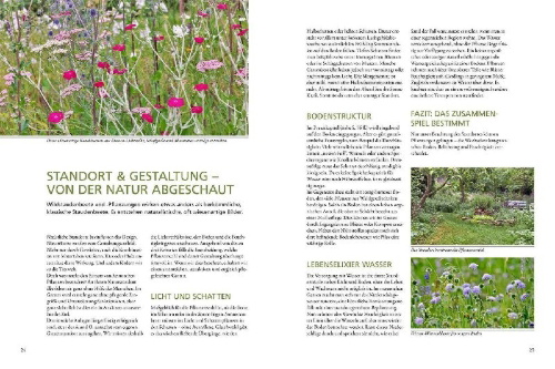 Buchcover und Innenansicht für das Buch: Wild & bunt