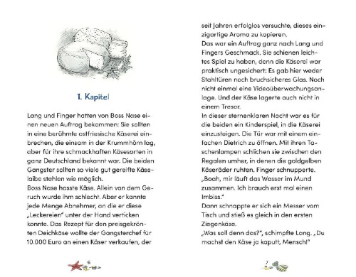 Buchcover und Innenansicht für das Buch: Die Nordseedetektive (Band 12) - Brandgefährlich!