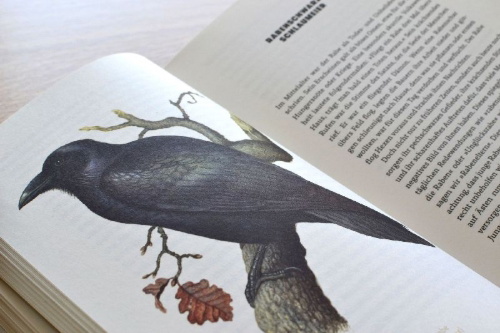 Buchcover und Innenansicht für das Buch: Mikroorgasmen überall