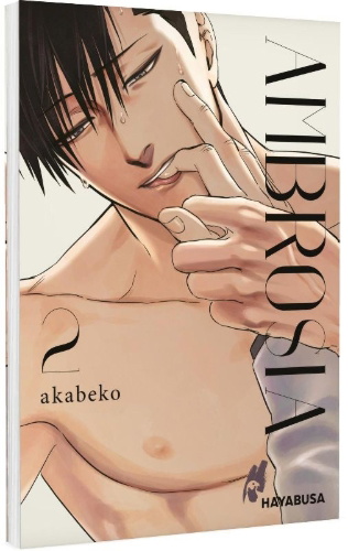Buchcover und Innenansicht für das Buch: Mitsuka