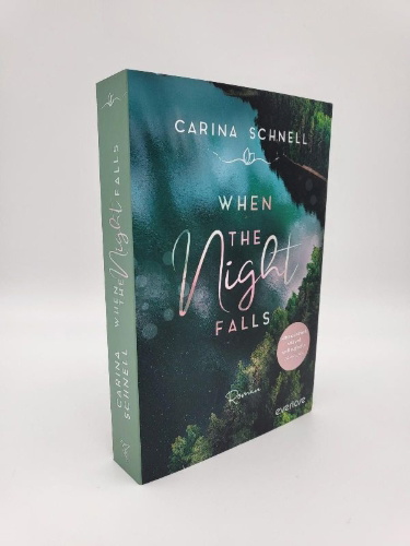 Buchcover und Innenansicht für das Buch: When the Night Falls