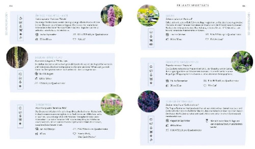 Buchcover und Innenansicht für das Buch: Blütenpracht und Ernteglück - Dein Weg zum Traumgarten