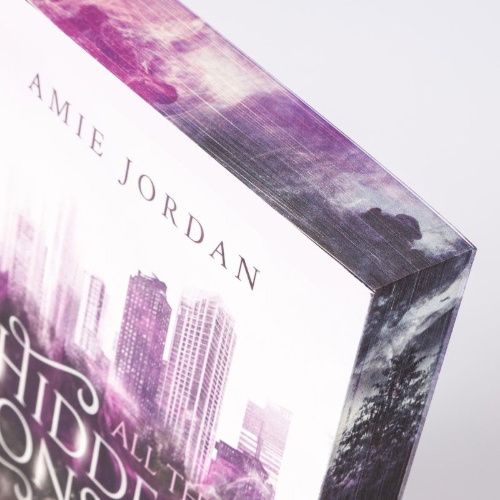 Buchcover und Innenansicht für das Buch: All the Hidden Monsters