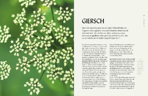 Buchcover und Innenansicht für das Buch: Die "Unkräuter" in meinem Garten