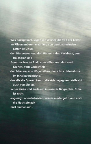Buchcover und Innenansicht für das Buch: Nachspielzeit