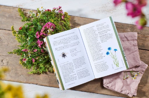 Buchcover und Innenansicht für das Buch: Unsere Wildbienen