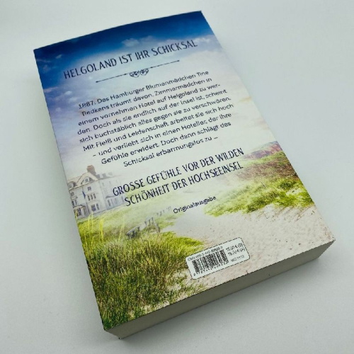 Buchcover und Innenansicht für das Buch: Die Insel der Wünsche - Stürme des Lebens