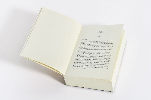 Buchcover und Innenansicht für das Buch: The Days I Loved You Most