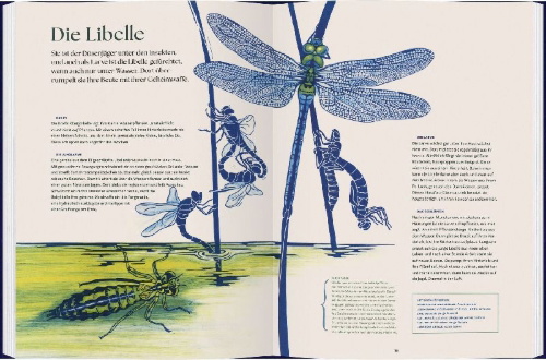 Buchcover und Innenansicht für das Buch: verwandelt