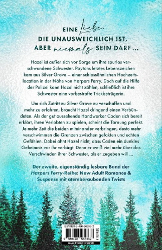Buchcover und Innenansicht für das Buch: Silver Grove. Break Me Twice
