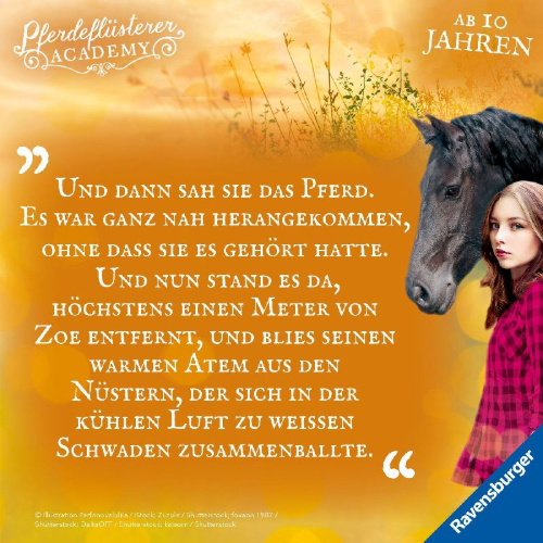 Buchcover und Innenansicht für das Buch: Pferdeflüsterer-Academy, Band 1: Reise nach Snowfields