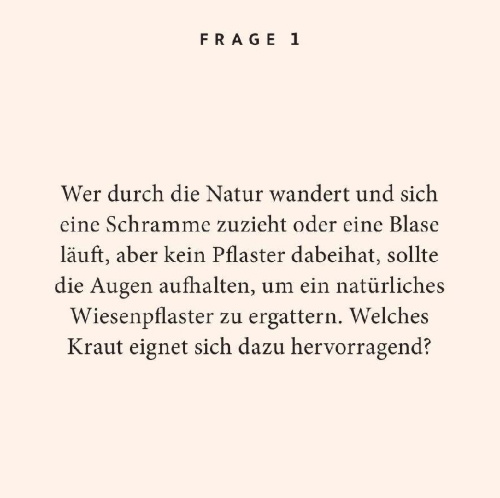 Buchcover und Innenansicht für das Buch: Kräuter-Quiz