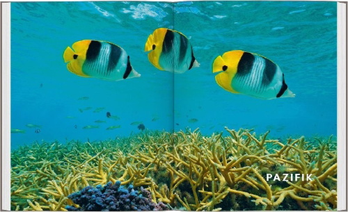 Buchcover und Innenansicht für das Buch: Plongées autour du monde - Les plus beaux spots de plongée de la planète