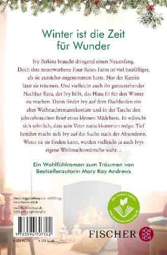 Buchcover und Innenansicht für das Buch: Winterträume am Kamin