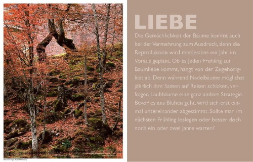 Buchcover und Innenansicht für das Buch: Das geheime Leben der Bäume
