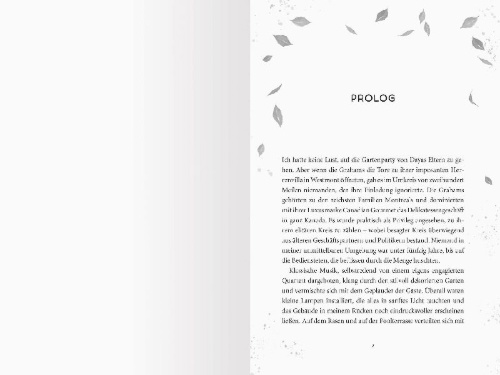 Buchcover und Innenansicht für das Buch: Willow-Falls-Reihe, Band 1 - Take Me Home to Willow Falls