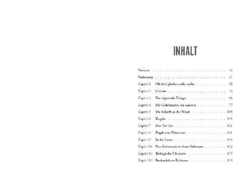 Buchcover und Innenansicht für das Buch: Imminent
