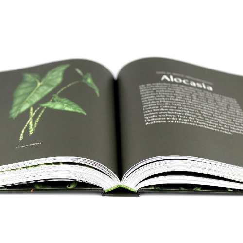 Buchcover und Innenansicht für das Buch: Plantopedia