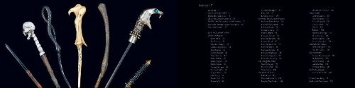 Buchcover und Innenansicht für das Buch: Harry Potter: The Wand Collection