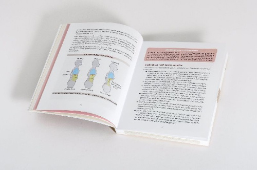 Buchcover und Innenansicht für das Buch: Stomach vacuum, le secret d'un ventre au top !