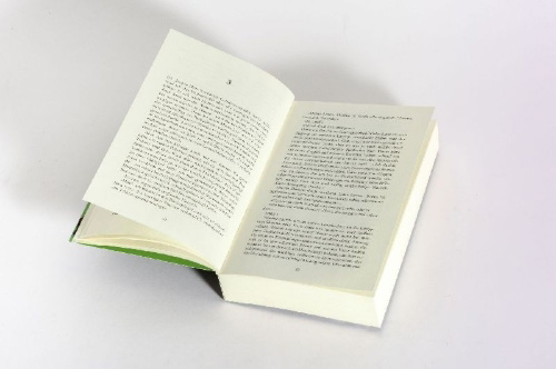 Buchcover und Innenansicht für das Buch: Klüpfel, V: Wenn Ende gut, dann alles