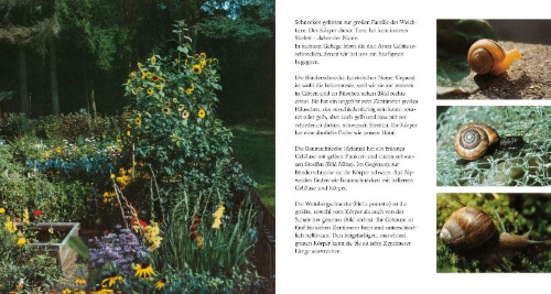Buchcover und Innenansicht für das Buch: Schneckenleben