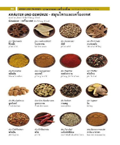 Buchcover und Innenansicht für das Buch: PONS Bildwörterbuch Thai