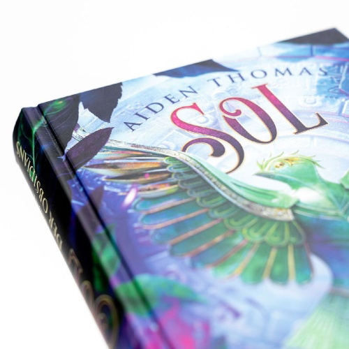 Buchcover und Innenansicht für das Buch: Celestial Monsters