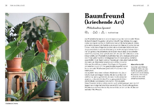 Buchcover und Innenansicht für das Buch: Grow your Jungle