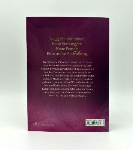 Buchcover und Innenansicht für das Buch: Empire of Storms