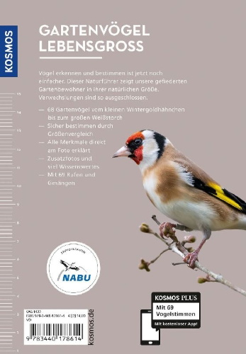 Buchcover und Innenansicht für das Buch: Gartenvögel lebensgroß
