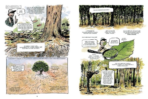 Buchcover und Innenansicht für das Buch: La Vie secrète des arbres en BD