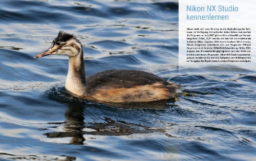 Buchcover und Innenansicht für das Buch: Nikon NX Studio
