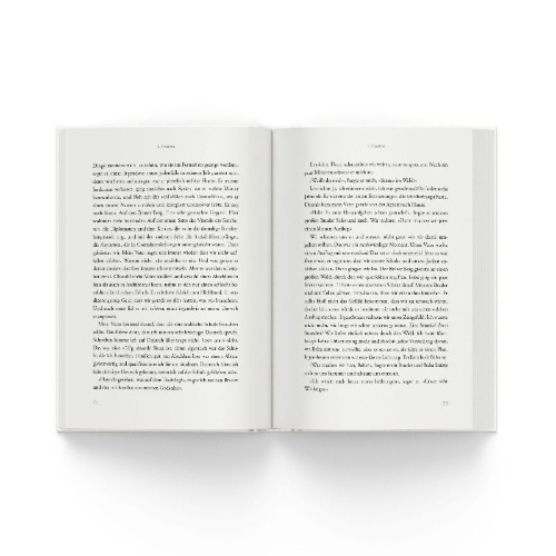 Buchcover und Innenansicht für das Buch: Das Kapitel, das fehlt
