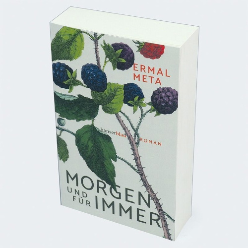Buchcover und Innenansicht für das Buch: Domani e Per sempre