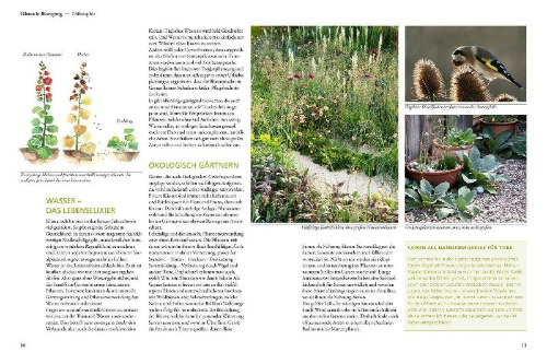 Buchcover und Innenansicht für das Buch: Der antiautoritäre Garten