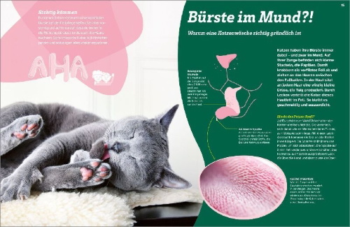 Buchcover und Innenansicht für das Buch: WAS IST WAS Katzen. Eigenwillige Schnurrer
