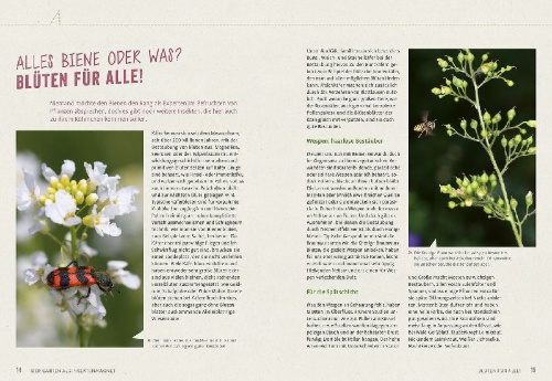 Buchcover und Innenansicht für das Buch: Richtig gute Pflanzen für Insekten