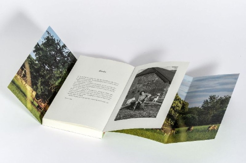 Buchcover und Innenansicht für das Buch: Landl(i)eben