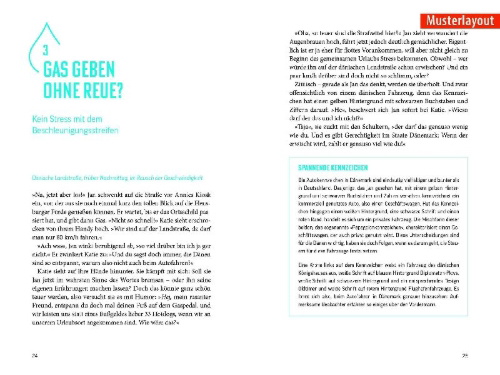 Buchcover und Innenansicht für das Buch: Fettnäpfchenführer Frankreich