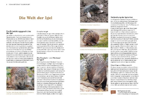 Buchcover und Innenansicht für das Buch: Igel im Garten