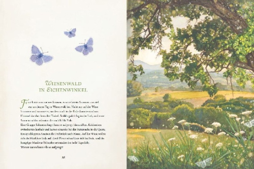 Buchcover und Innenansicht für das Buch: Wiesenwald